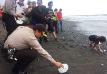 Ratusan Tukik Dilepas di Pantai Keramas