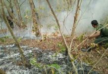 Dua Hektar Hutan di Yeh Biu Buleleng Terbakar