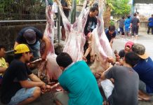 LDII Bali Bagikan 10 Ribu Kantong Daging Kurban