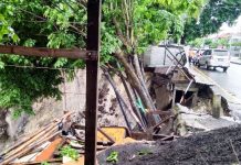 Tanah Longsor dan Pohon Tumbang Kembali Terjadi di Denpasar