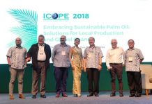 Didukung Solusi Industri Yang Berkelanjutan, Kelapa Sawit Masih Belum Bisa Tergantikan