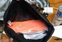 Bea Cukai Ngurah Rai Gagalkan 4 Kali Penyelundupan Narkoba ke Bali