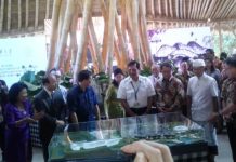 Kura-Kura Bali Jadi Implementasi Tri Hita Karana dan Pembangunan Berkelanjutan