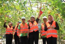 BSN Sebut Petrokimia Gresik Salah Satu Industri Penerap SNI Terbaik