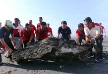 Bupati Klungkung Pimpin Punguti Sampah Busuk