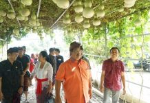 Kabar Gembira : 2020 Buleleng Fokus Pertanian Untuk Tunjang Sektor Pariwisata