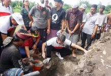 Ciptakan Lapangan Kerja, Pemkab Klungkung Serap Tenaga Kerja melalui Padat Karya