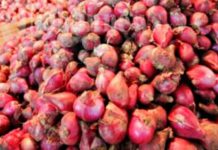 10 Ton Bawang NTB akan Masuk Bali