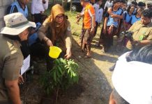 Lestarikan Alam Bali, BPDASHL Unda Anyar, SMAN 2 Kuta Bersama Rotary Club Bali Benoa Tanam Pohon Bersama