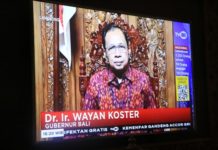 Gubernur Bali Himbau Masyarakat untuk Tetap di Rumah
