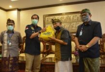 Wagub Bali Apresiasi Kepedulian Perbankan pada Seniman