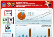 Persentase Pasien Covid-19 Sembuh Mencapai 77,33 Persen