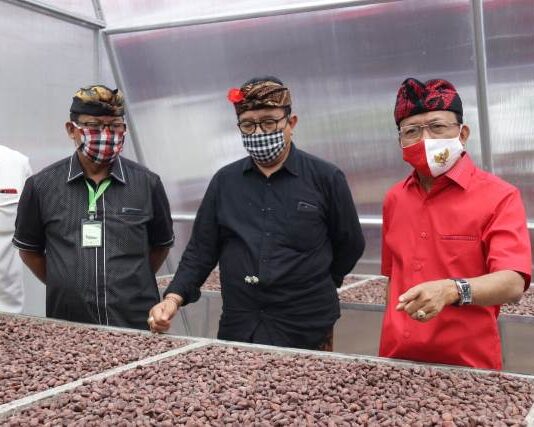 Pulihkan Ekonomi Bali, Kakao Fermentasi 10 Ton Diekspor ke Osaka Jepang