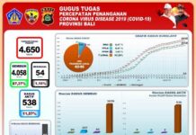 Penambahan Kasus Covid-19 Provinsi Bali Terkonfirmasi Sebanyak 74 Orang