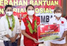 Serahkan Sembako, Putri Koster Berharap Masyarakat Bali Kembali Bangkit dari Keterpurukan