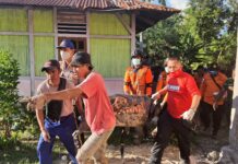 Telkomsel Hadirkan Tim Siaga Bencana, Bantu Percepatan Mitigasi dan Pemulihan Infrastruktur Jaringan di NTT