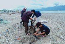 KFC Indonesia dan Divers Clean Action Lakukan Kegiatan Bersih Pantai dan Laut di 10 Provinsi