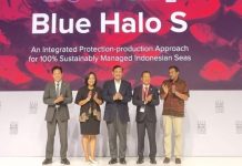 Blue Halo S, Kerangka Kerja Baru tentang Pengelolaan Laut yang Mandiri