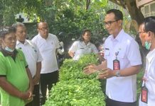 Antisipasi Kenaikan Harga Cabai, Badung Kembali Luncurkan Matanabe