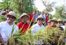 Dukung Inovasi Sejahterakan Petani, Pemkot Denpasar Berikan Jaminan Asuransi