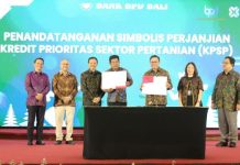 Dewa Indra Dorong Optimalisasi Penyaluran Kredit bagi Sektor Pertanian