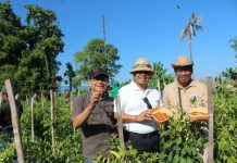 Pj. Gubernur Bali Apresiasi Upaya Penanggulangan Inflasi di Buleleng