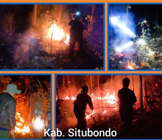 Api Melahap Lahan Seluas 18,19 Hektare di Provinsi Jawa Timur