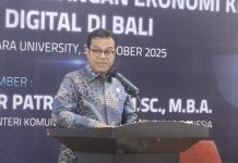 Wamen Komdigi Dorong Penguatan Ekonomi Kreatif Digital Bali Lewat FGD di Primakara University