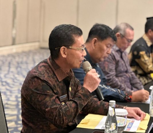 Bupati Klungkung Bahas RDTR Semarapura dan Goa Lawah di Jakarta, Dorong Kepastian Tata Ruang