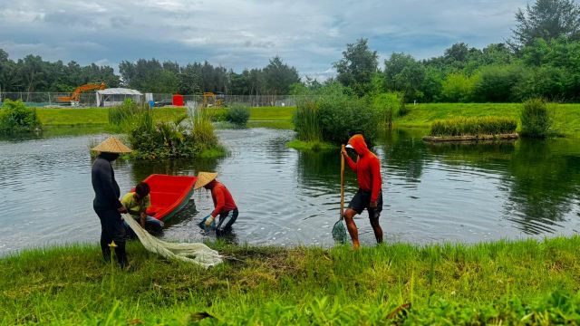 WhatsApp Image 2026-02-20 at 18.03.43