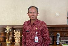 Pemprov Bali Bantah Isu Tambahan 10.000 Taksi Listrik, Tegaskan Tak Ada Kuota Baru