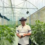 Permodalan BRI Dongkrak Paprika Organik Tabanan, Petani Tembus Pasar Premium